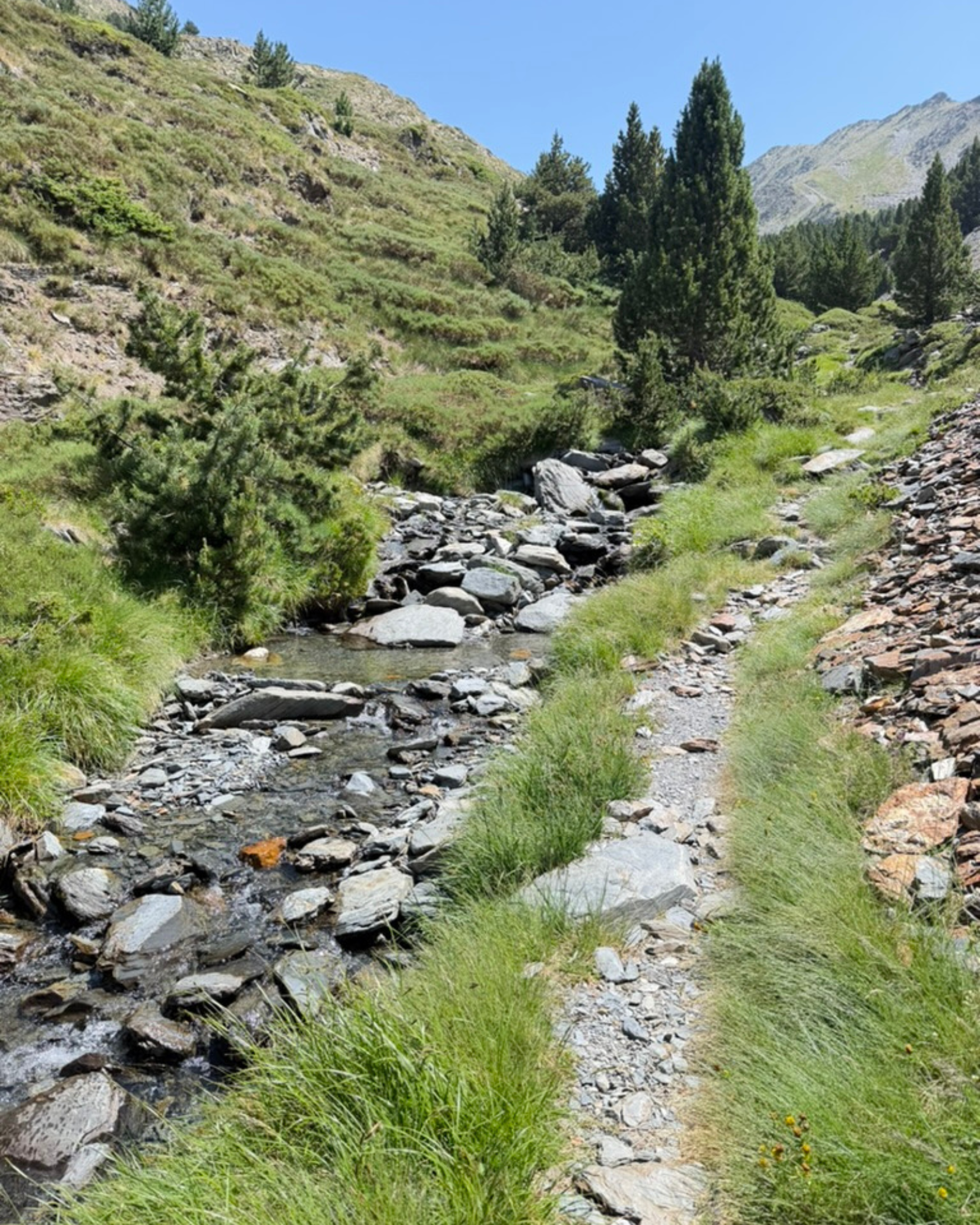 Mountain landscape